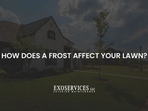 How Does A Frost Affect Your Lawn