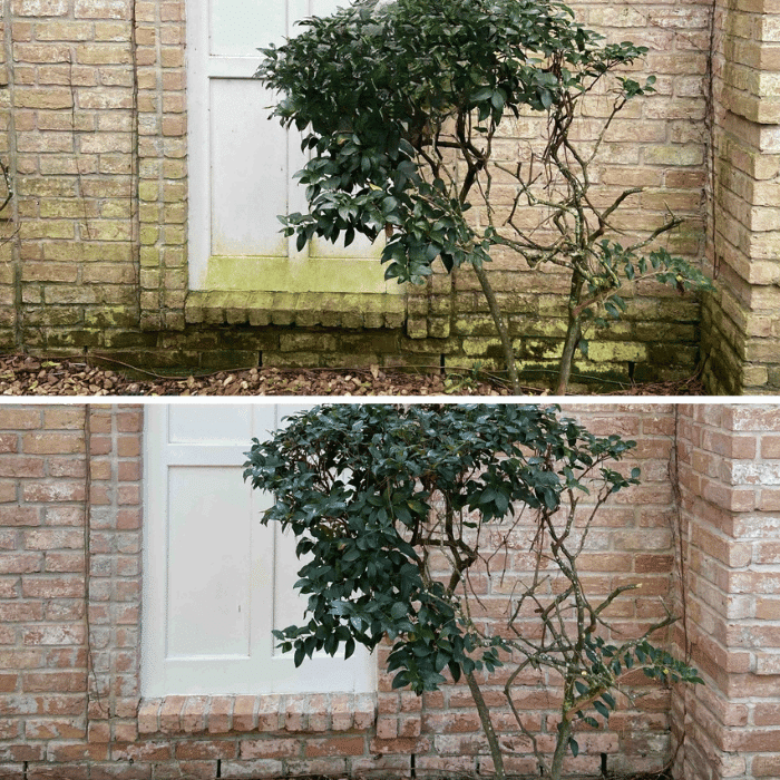 Pressure washing in Spring Texas