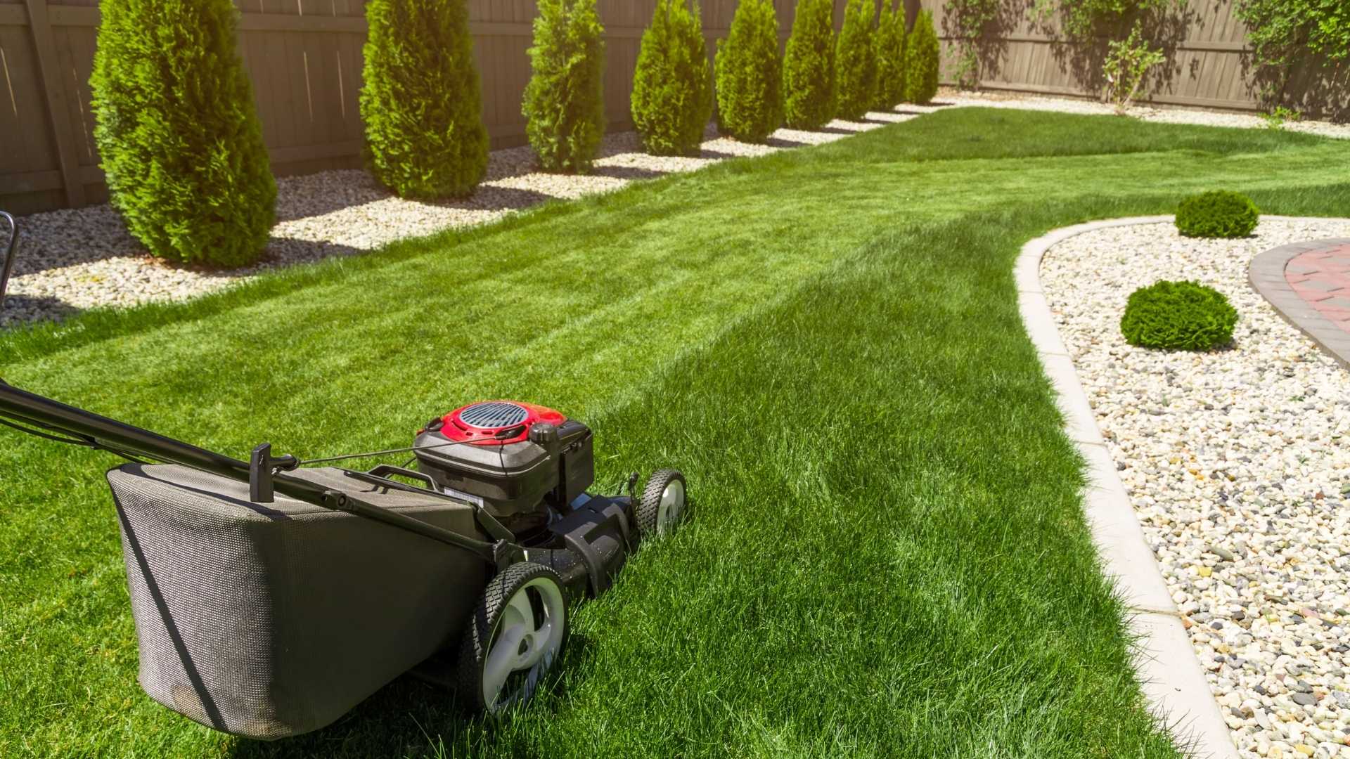 Lawn Care Spring Texas