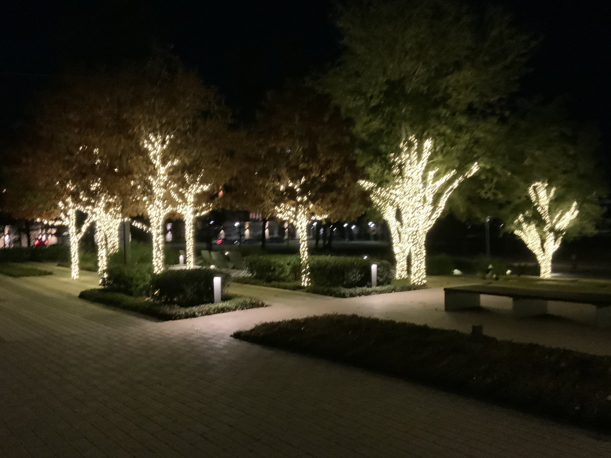 Holiday light installation in Spring Texas
