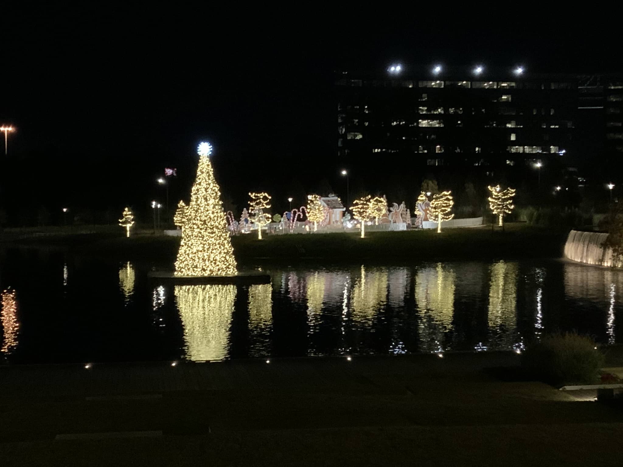 Holiday light installation in Spring Texas