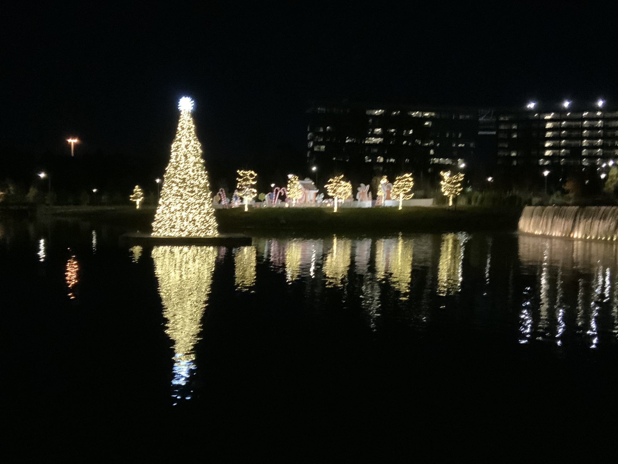 Holiday light installation in Spring Texas