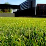 How to Keep Your Lawn Green All Summer in The Woodlands TX