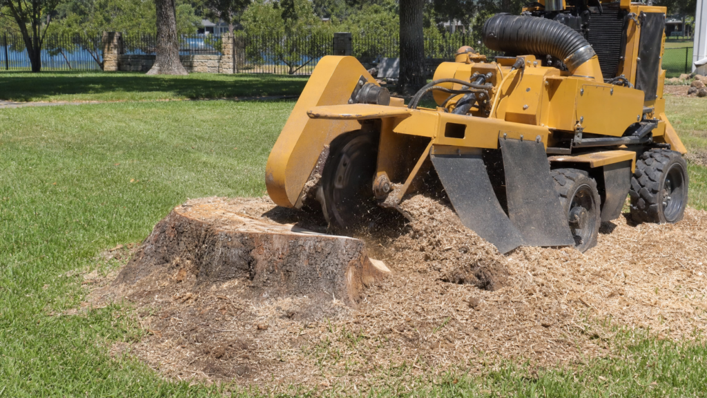 Stump grinding machine removing a tree stump in a Texas residential yard