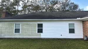 Soft washing removing algae and mold from exterior siding on a Spring TX home